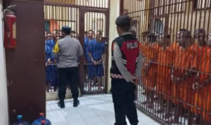 WhatsApp-Image-2025-04-06-at-14.35.38-750x338