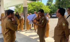 WhatsApp-Image-2025-04-08-at-22.45.58-750x563