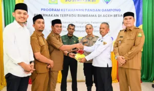 e33e4755-66c7-40c6-b163-ff1d5e959543