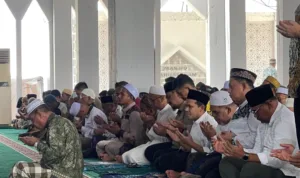 IMG_20260320_182049-1 (1)